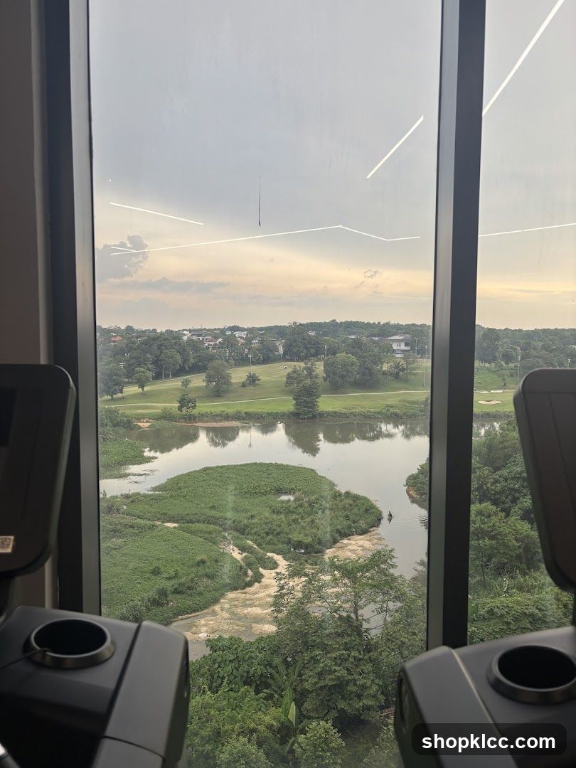 View from a gym
