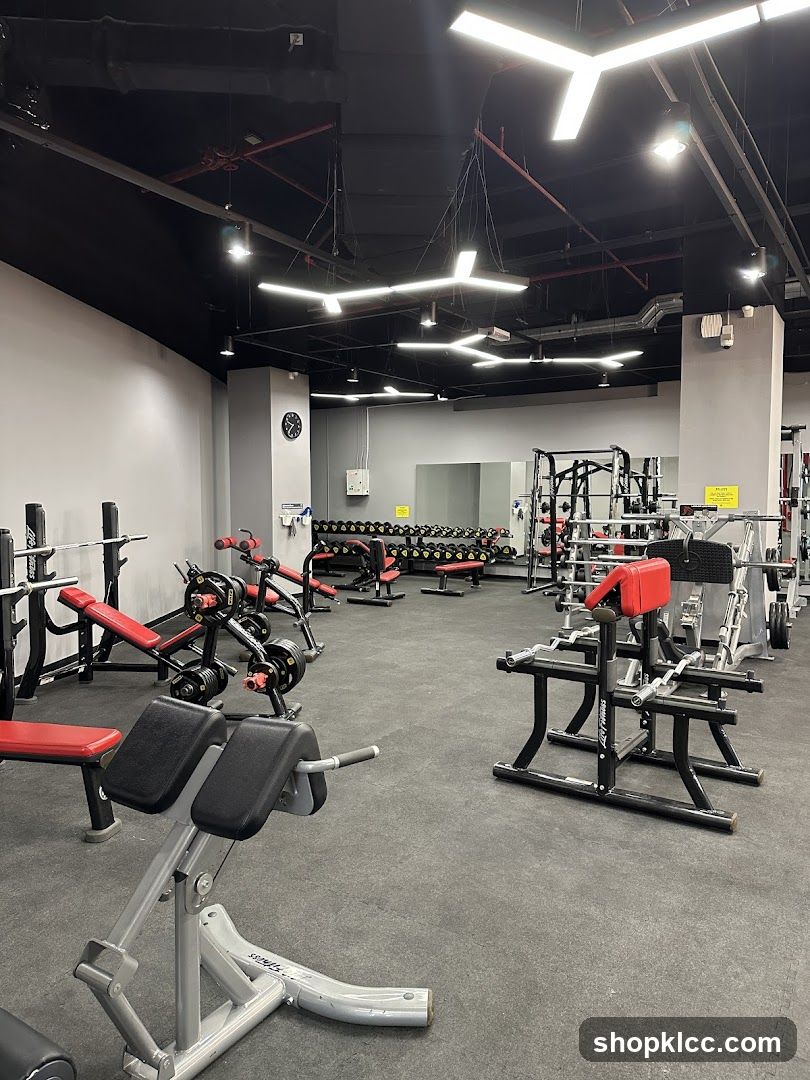 Gym Interior
