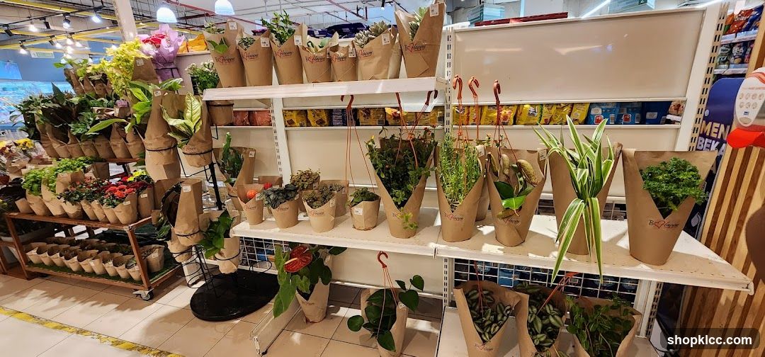 Village Grocer