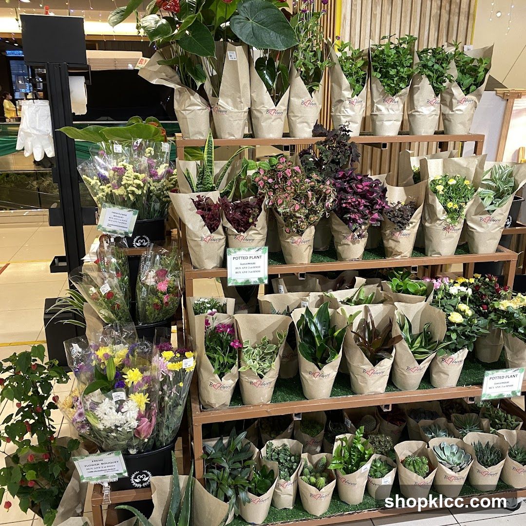 Assortment of Potted Plants and Flower Bouquets
