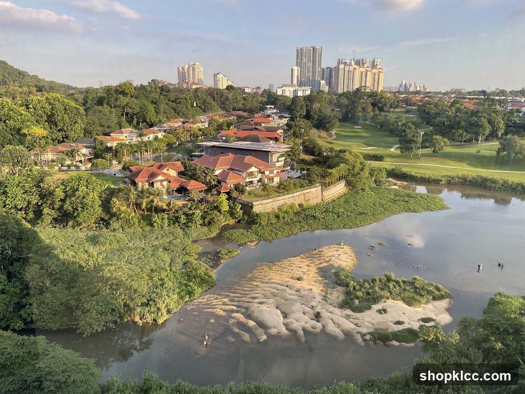 River View with Residential Area and City Skyline