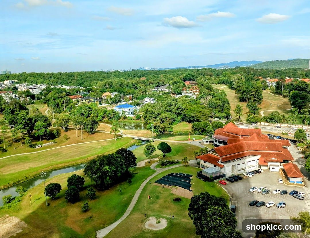 Aerial View of Park and Building Complex