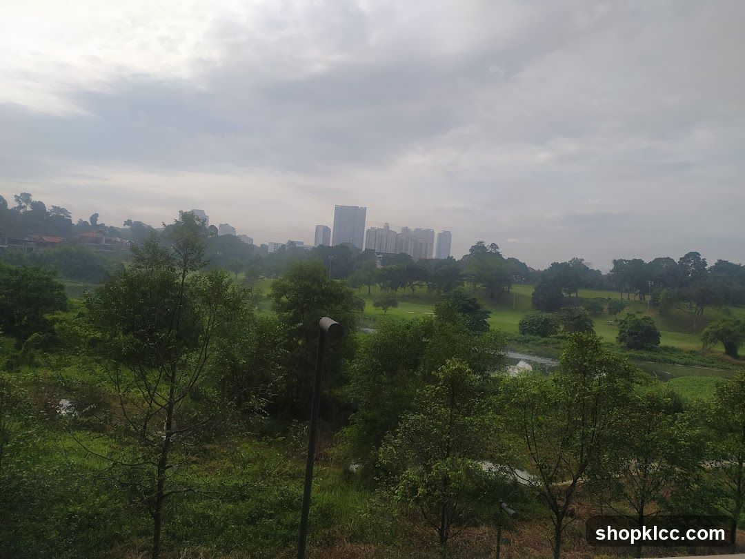 Landscape with city skyline in background
