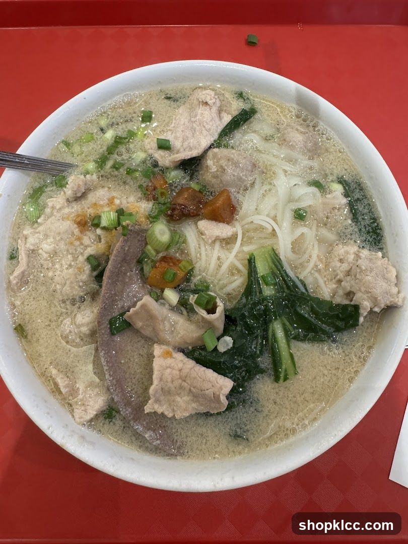 Noodle Soup with Pork and Vegetables