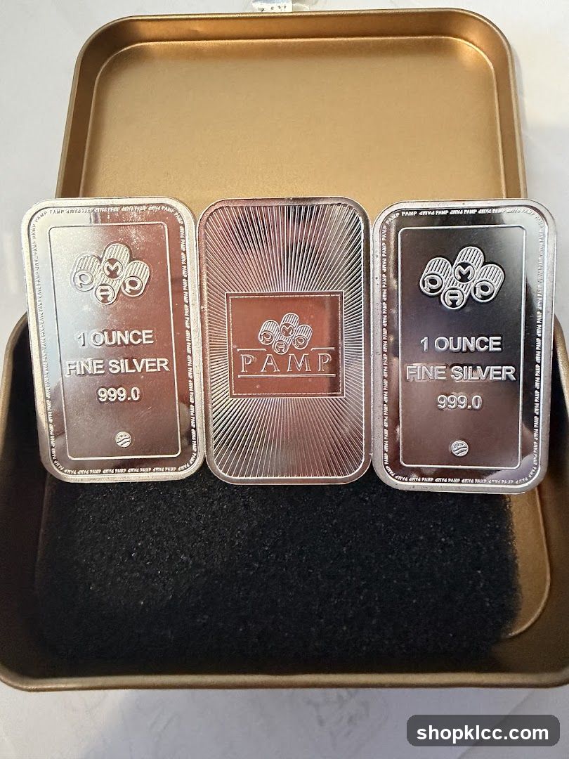 Three Silver Bars