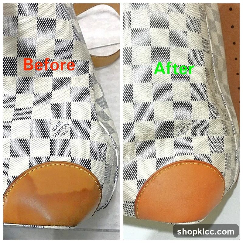 Louis Vuitton Bag Before and After Cleaning