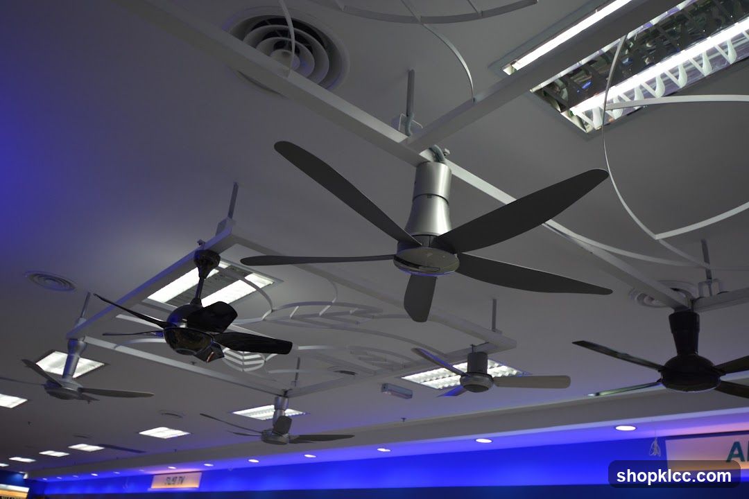Ceiling Fans