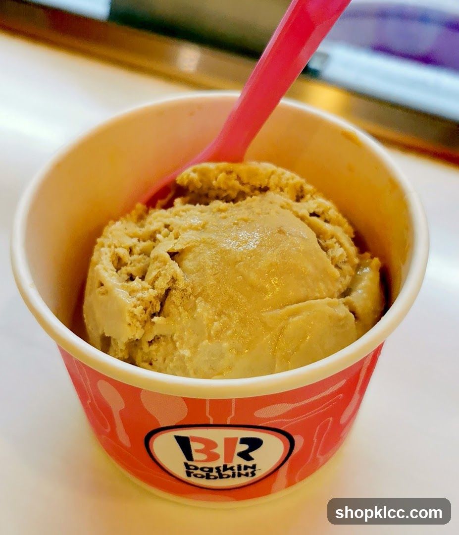 Baskin Robbins Ice Cream Cup