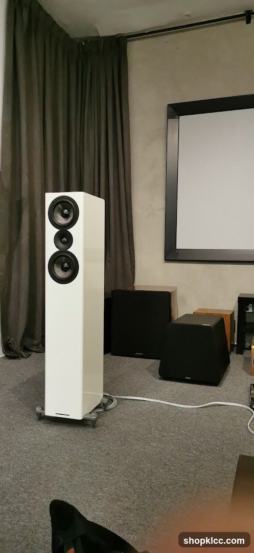 Home Theater Setup