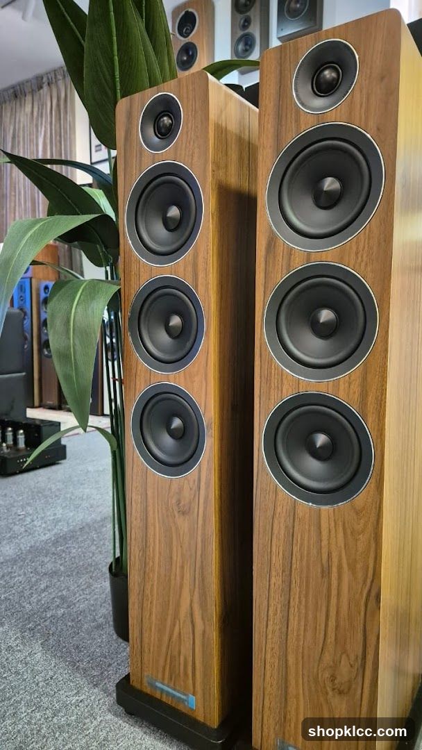 Wooden Floorstanding Speakers in Store Interior