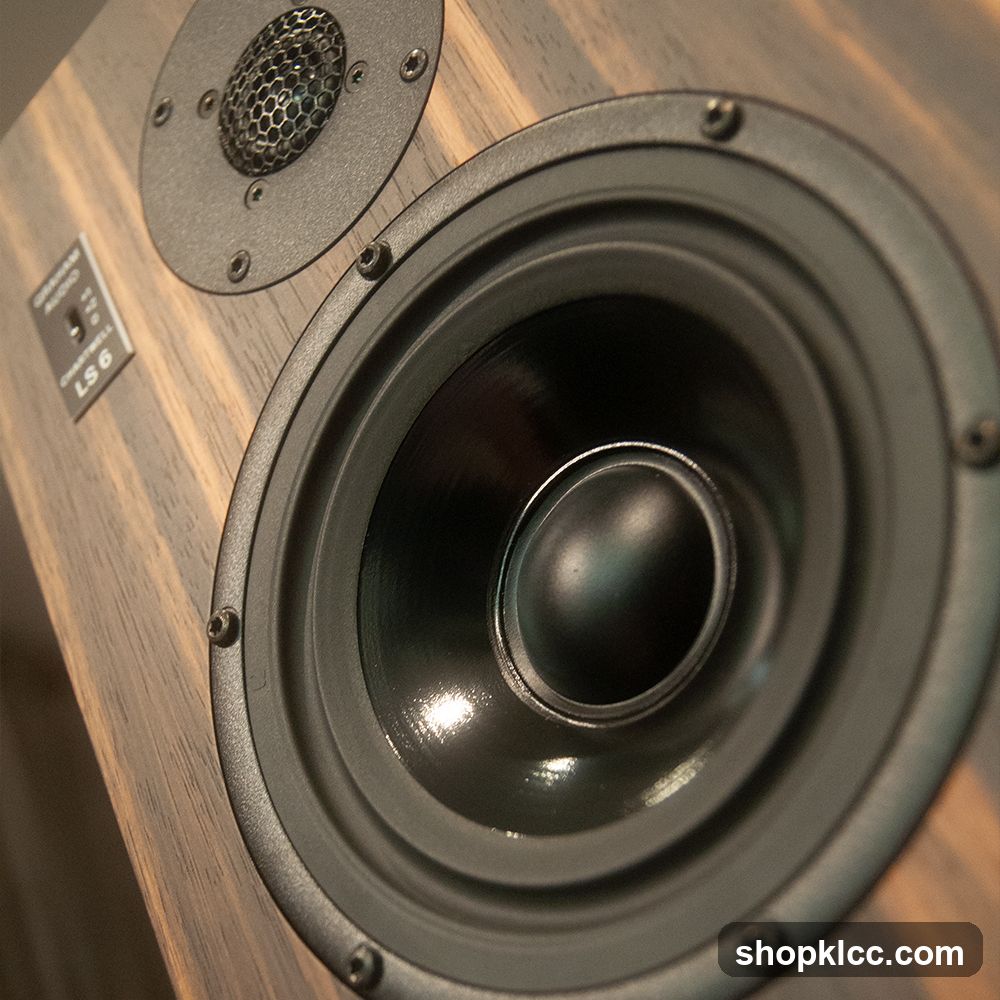 Speaker Close-up