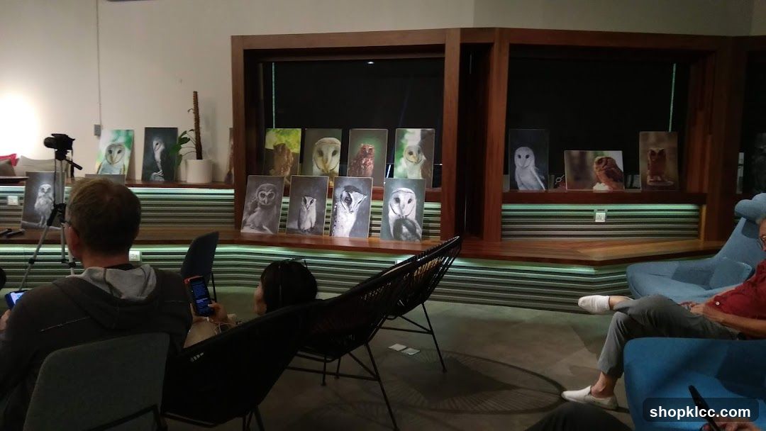 Owl Art Exhibition
