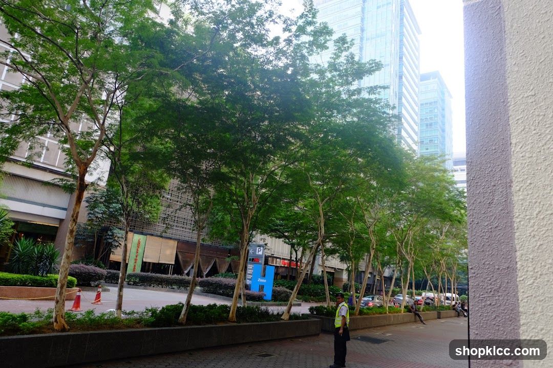 Urban street with trees and modern buildings