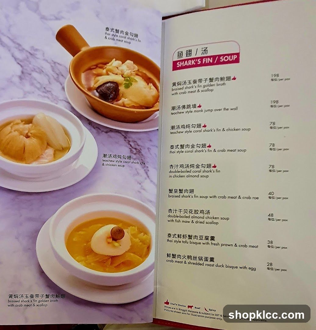 SHARK'S FIN / SOUP