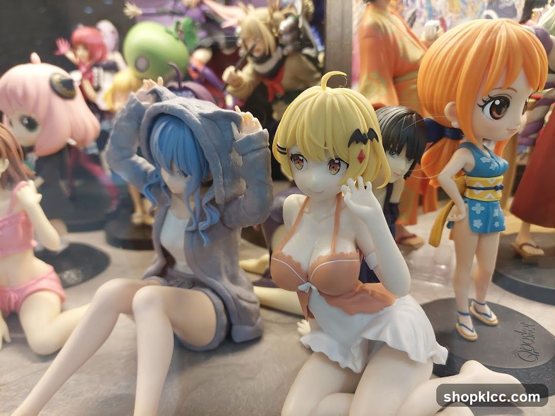 Anime Figure Collection Display