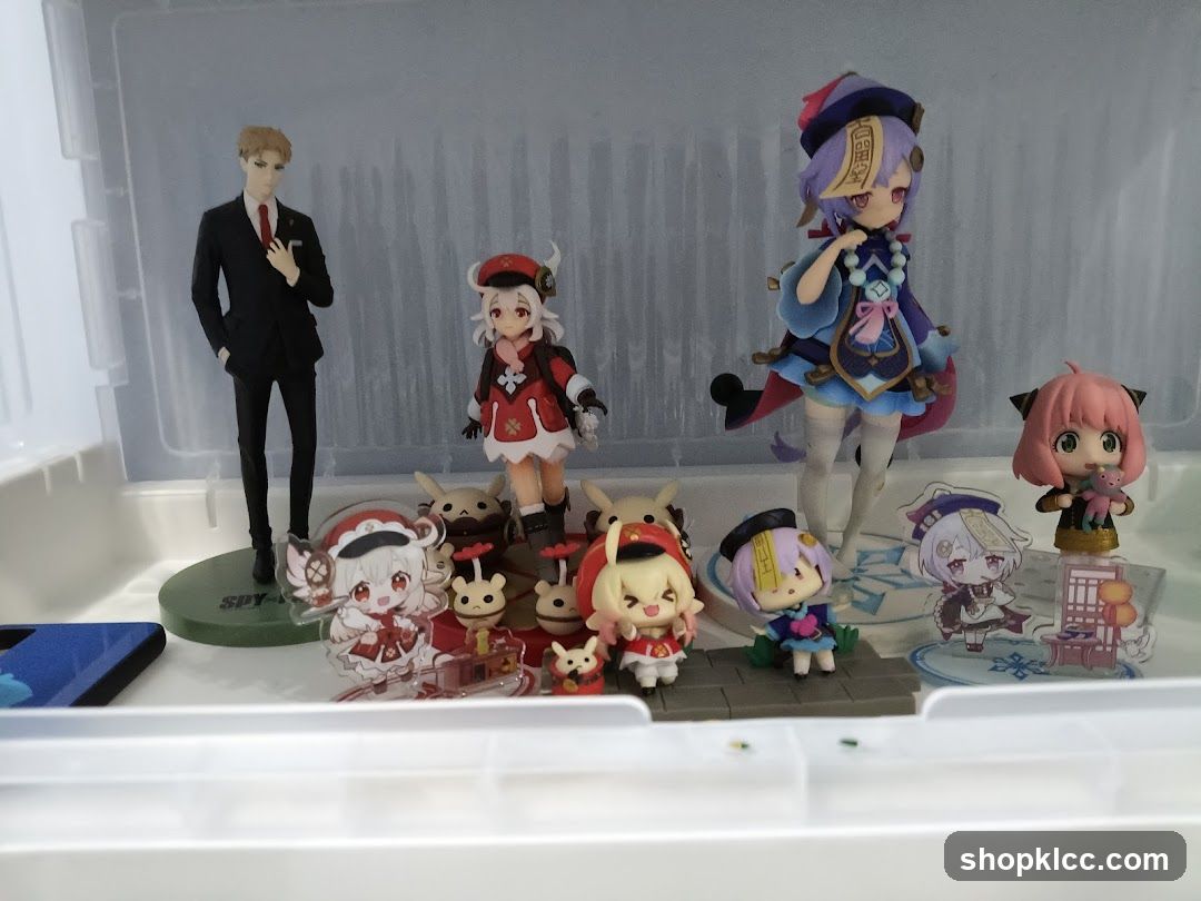 Anime Figure Collection Display