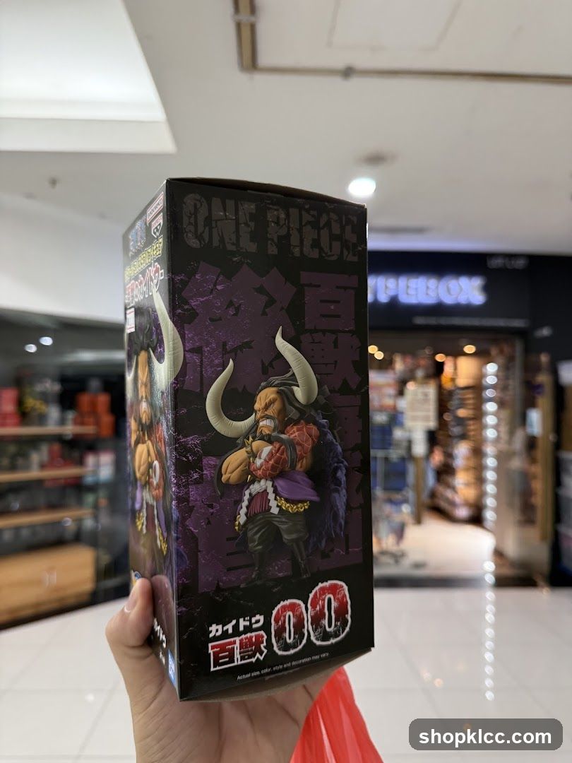 One Piece Figure Box in Mall