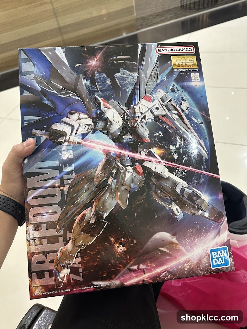 Gundam Freedom Box Art