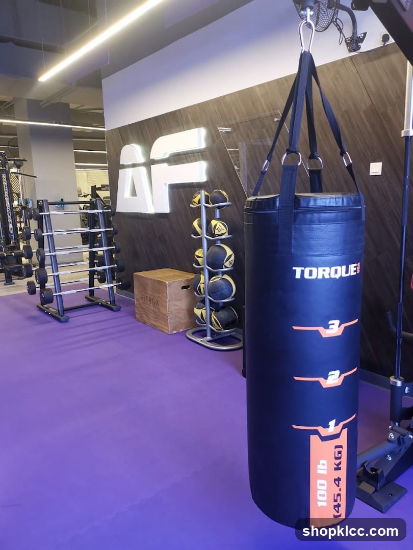 Gym Interior with Punching Bag and Equipment