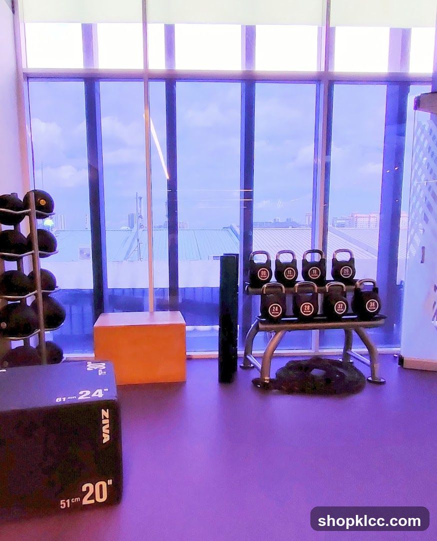 Gym Interior with Equipment and City View