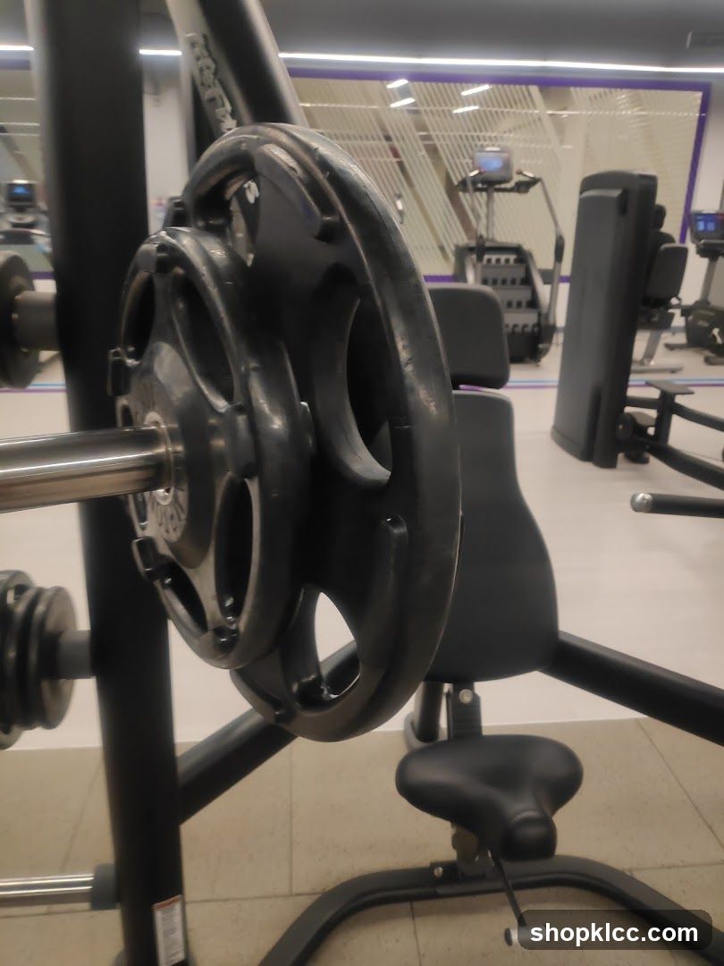 Gym Interior with Weight Plate