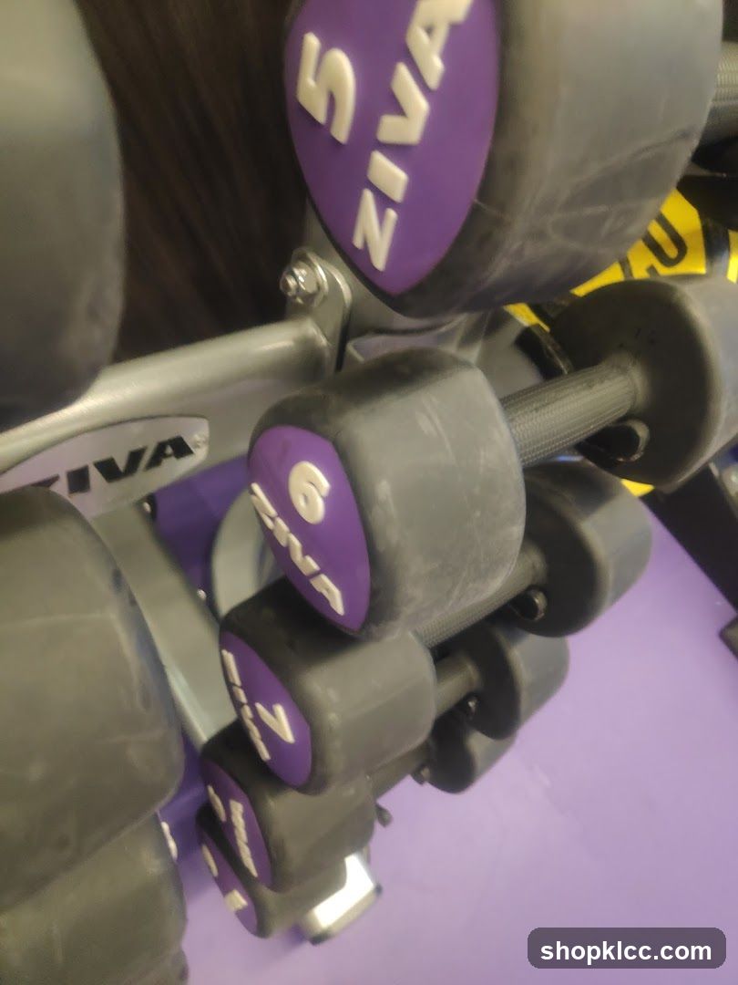 Dumbbells on Rack