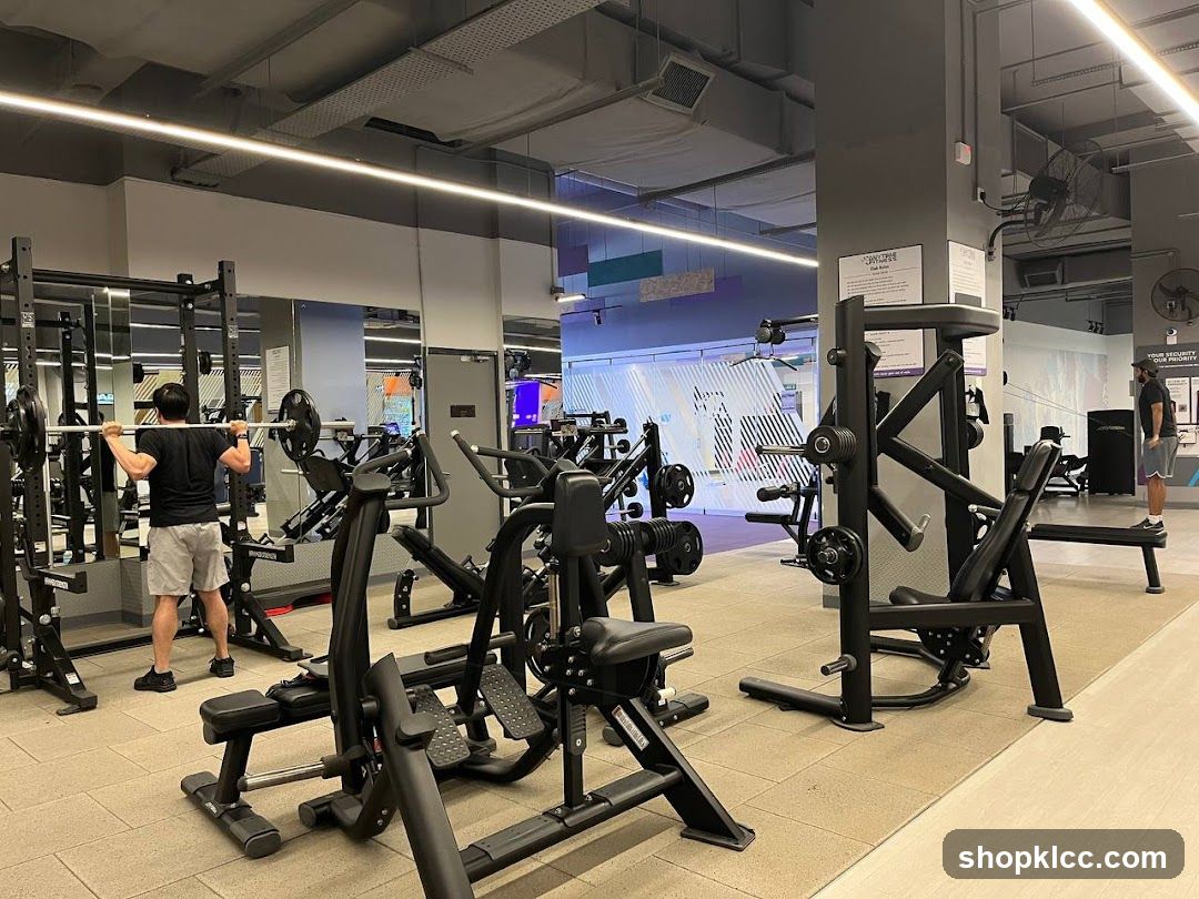 Gym Interior with Weight Machines