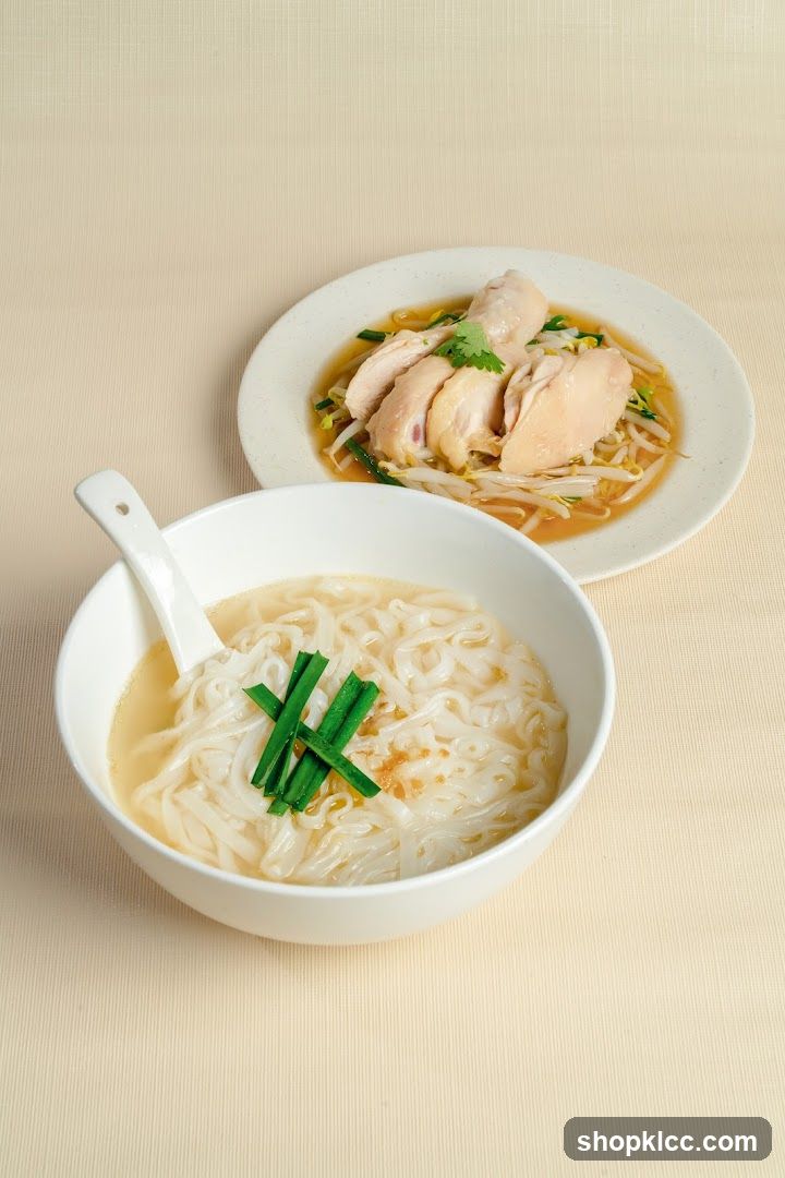 Chicken Noodle Soup with Chicken and Bean Sprouts