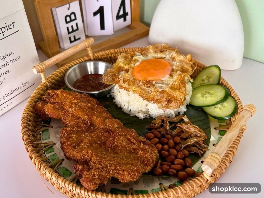 Nasi Lemak with Fried Chicken and Egg
