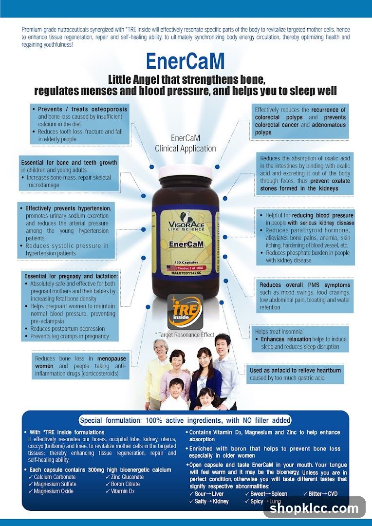 EnerCam Infographic
