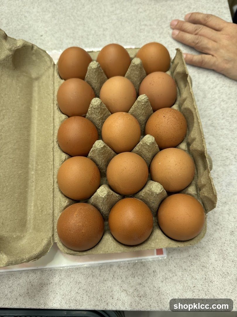 Eggs in Carton