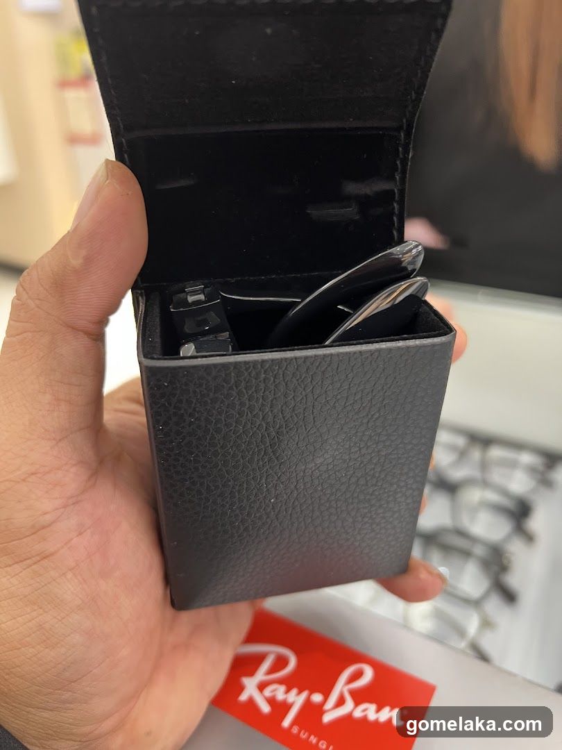 Ray-Ban Sunglasses Case