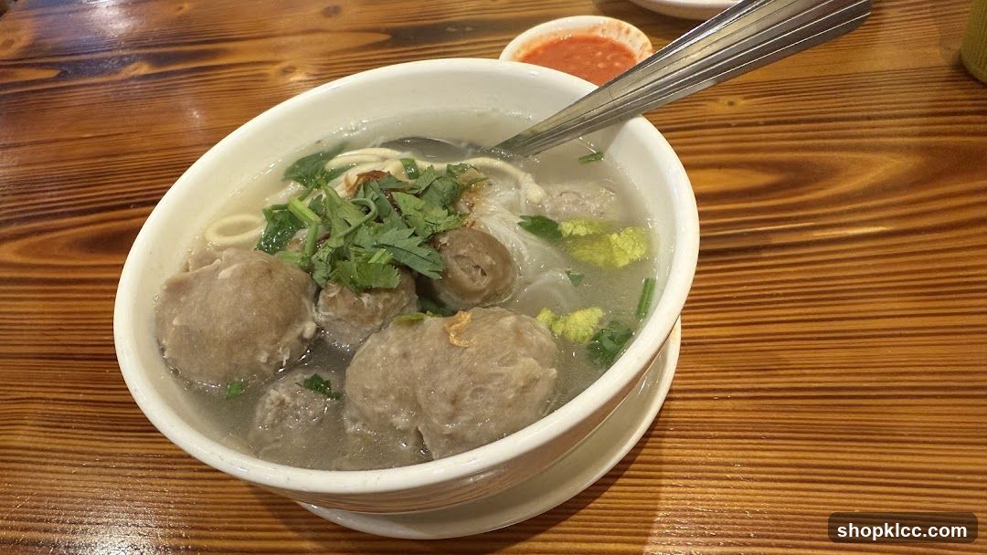 Bowl of Meatball Noodle Soup