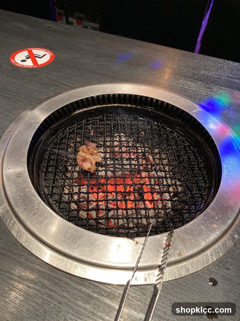 Grill with Meat