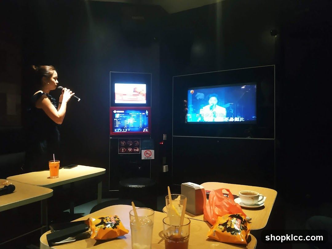 Karaoke Room Interior