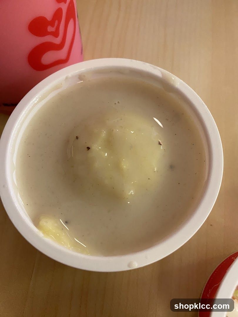 Bowl of creamy soup with ice cream
