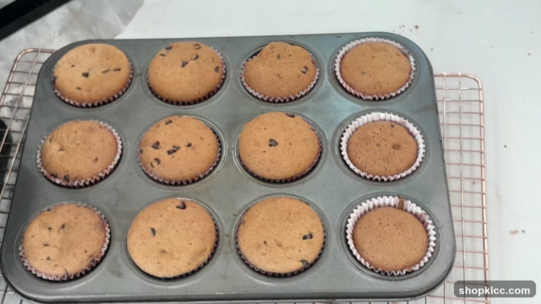 Baked Cupcakes in Tray