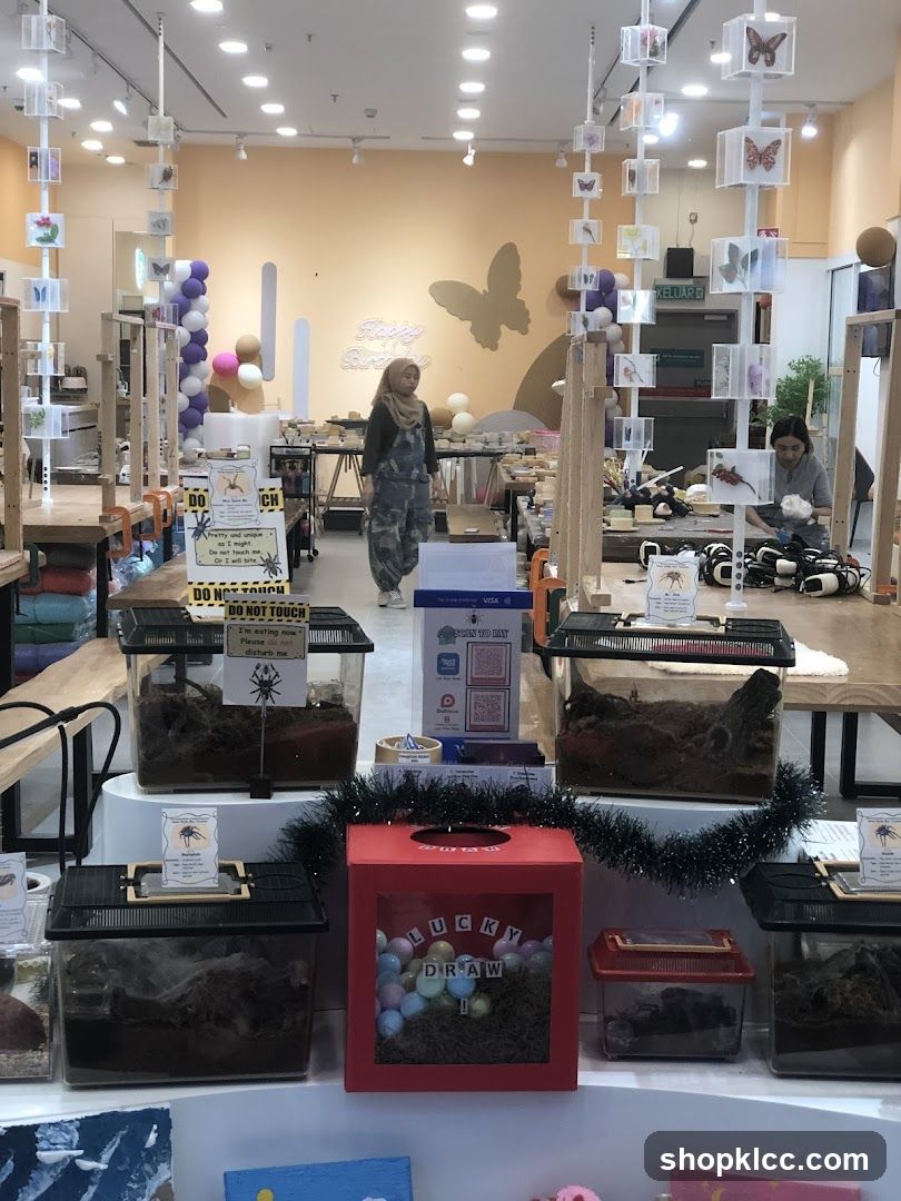 Insect Exhibit Shop Interior
