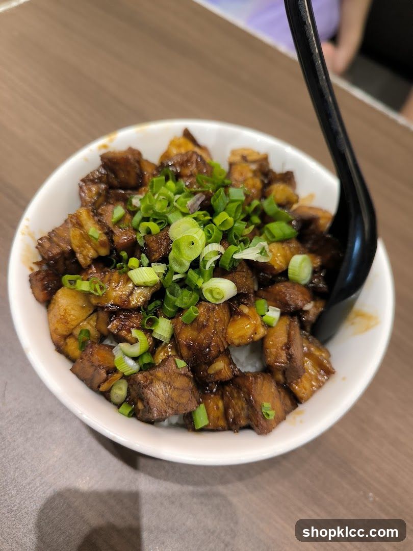 Braised Pork Bowl with Green Onions