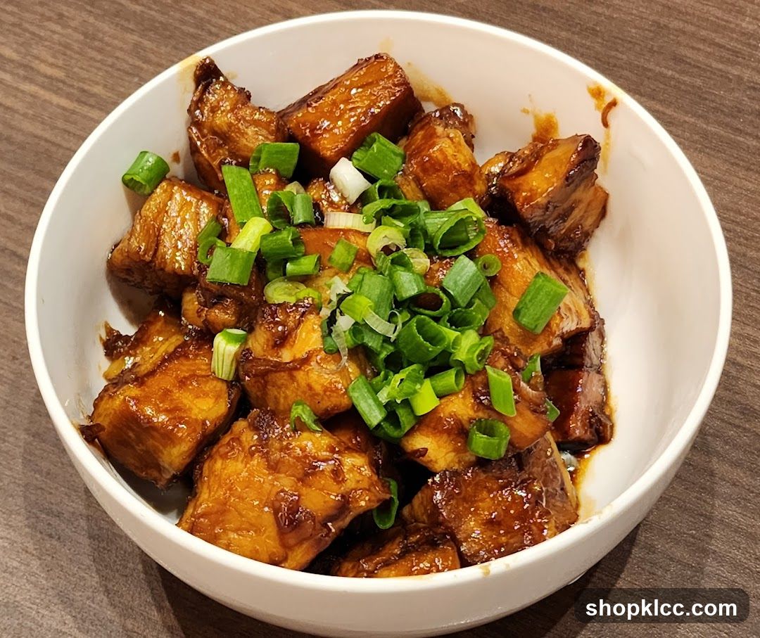 Braised Pork with Green Onions