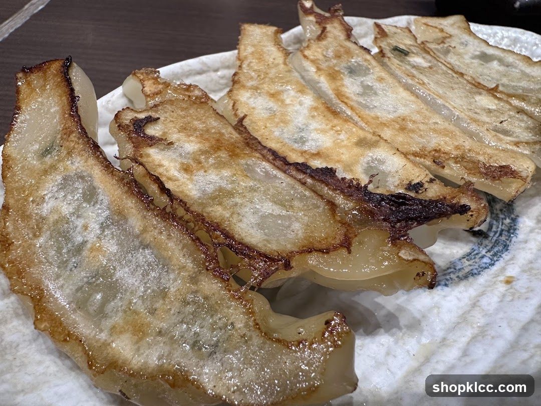 Gyoza on a plate