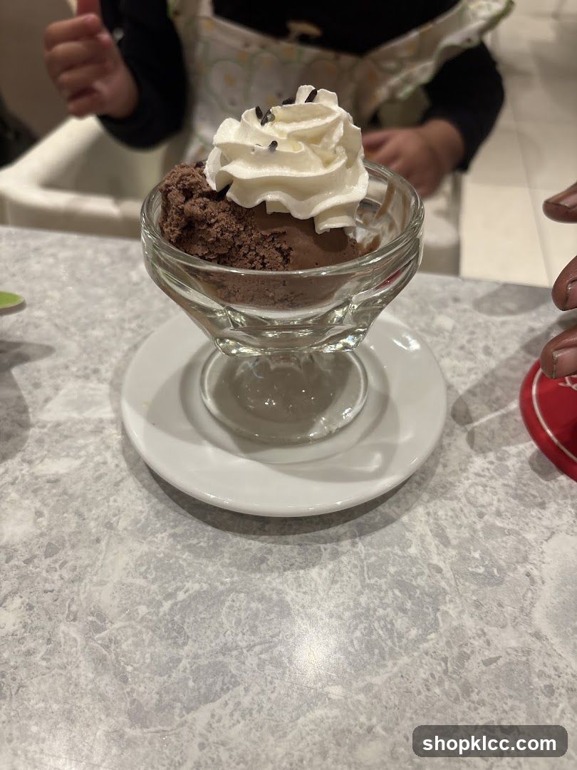 Chocolate Ice Cream Sundae