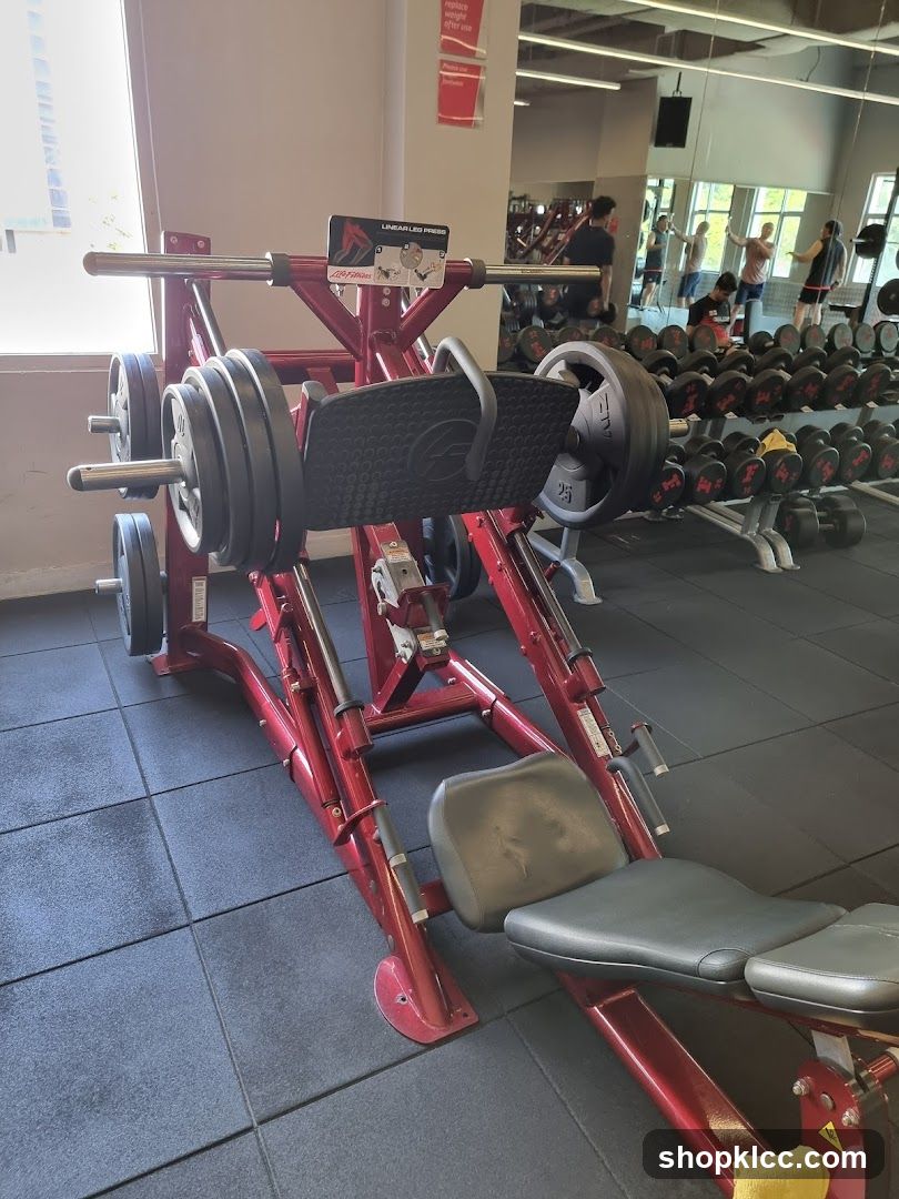 Gym Equipment