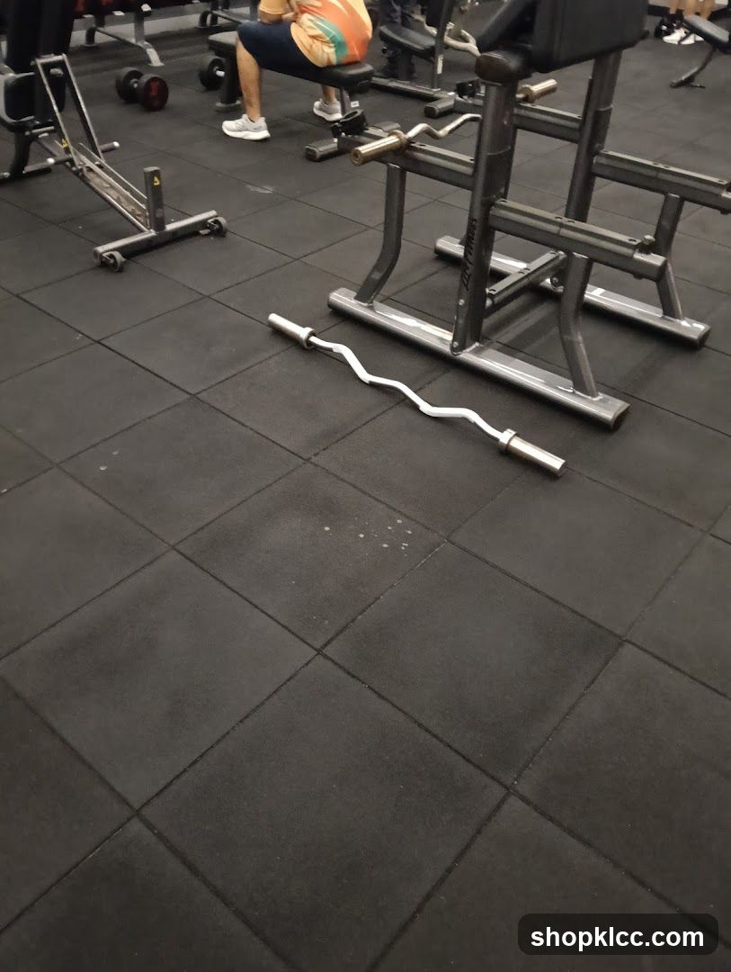 Gym Equipment