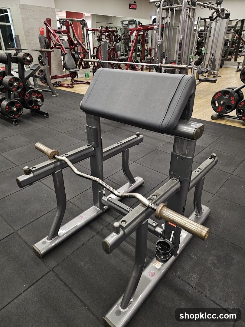 Gym Equipment
