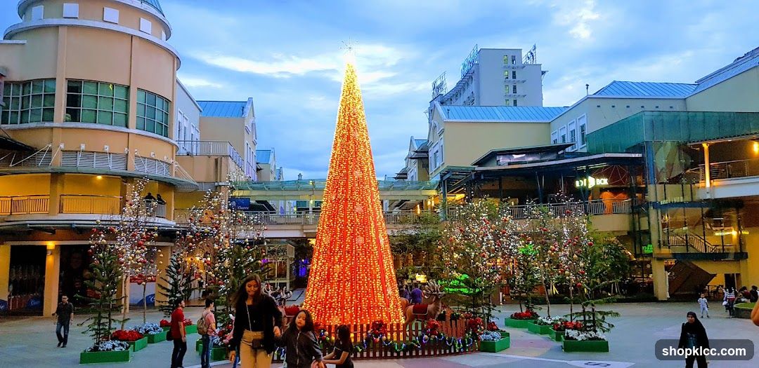 Outdoor Christmas Tree Display