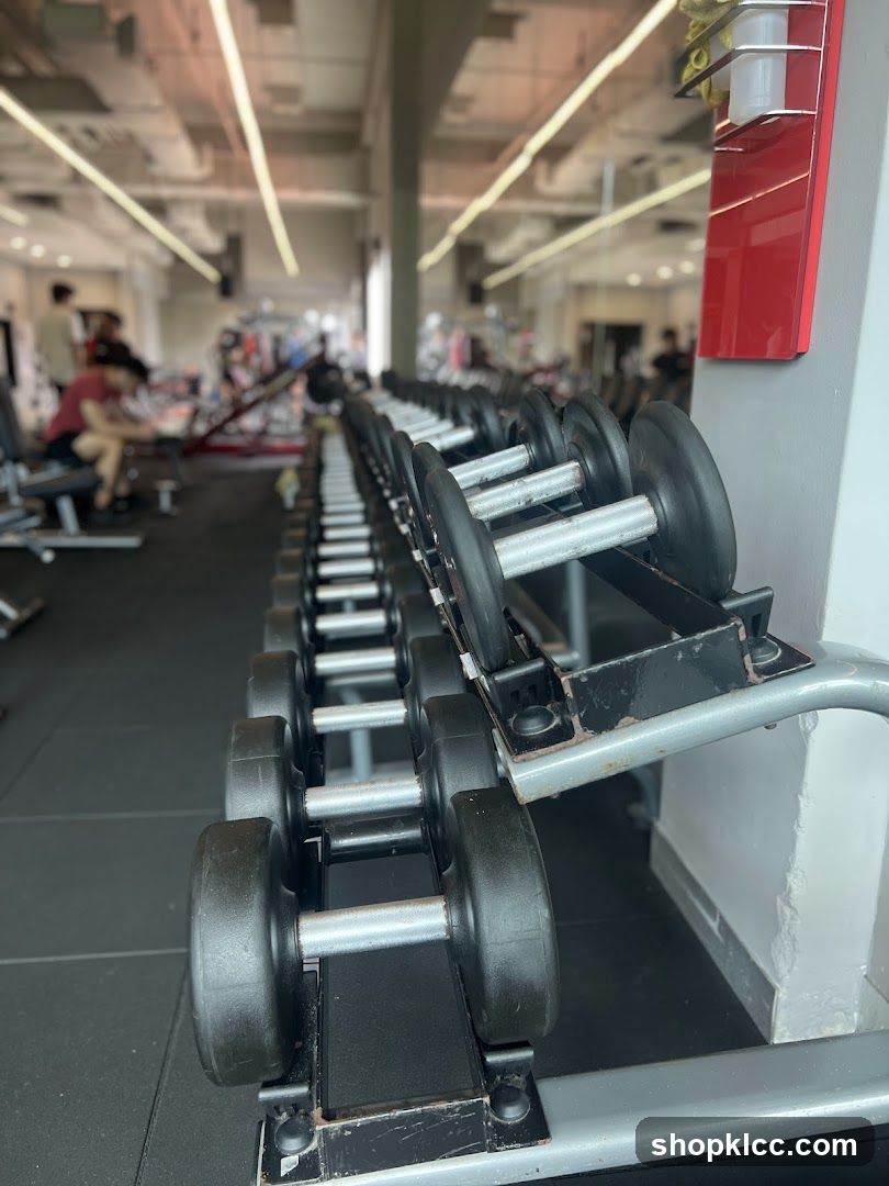 Dumbbell Rack in Gym