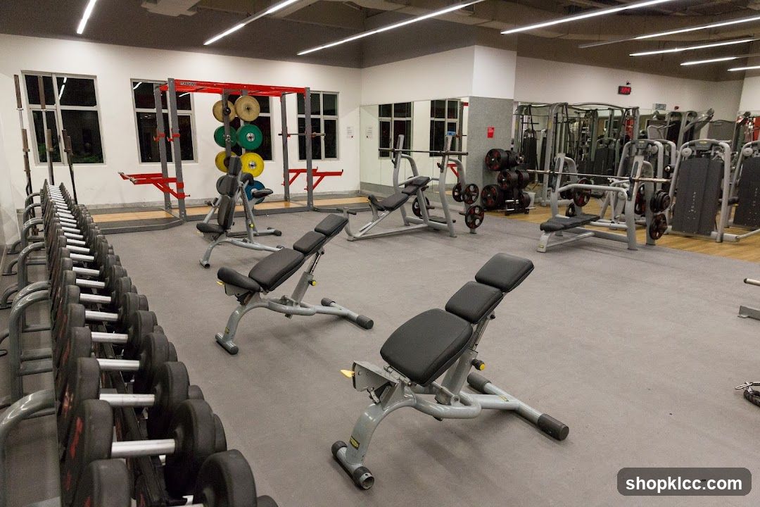 Gym Equipment