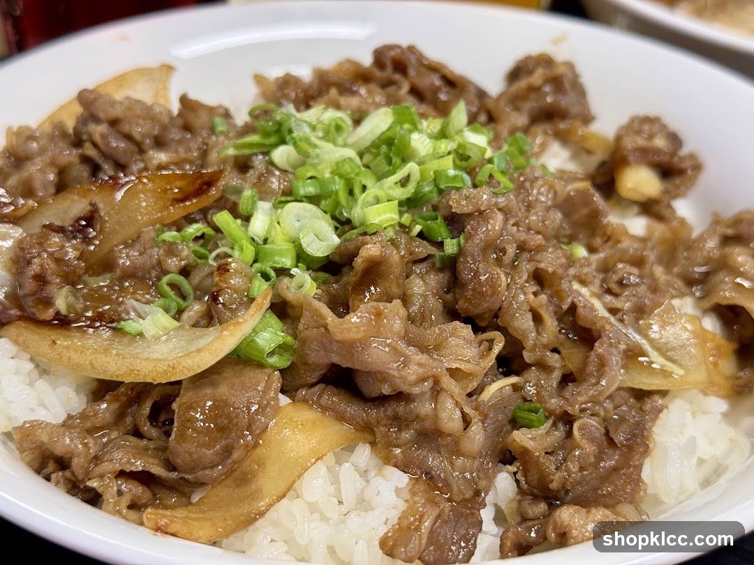 Beef Bowl