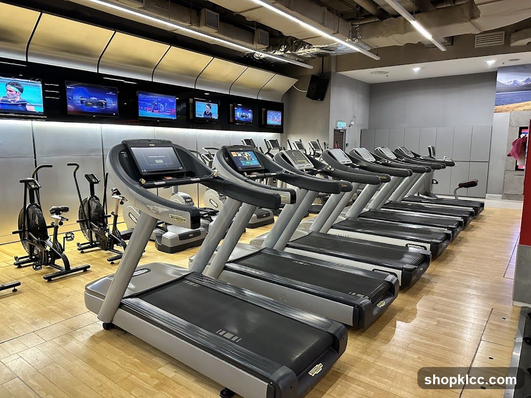 Gym Treadmills and Air Bikes